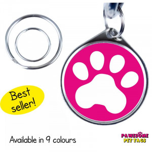 PPT-PAWPT-P1000